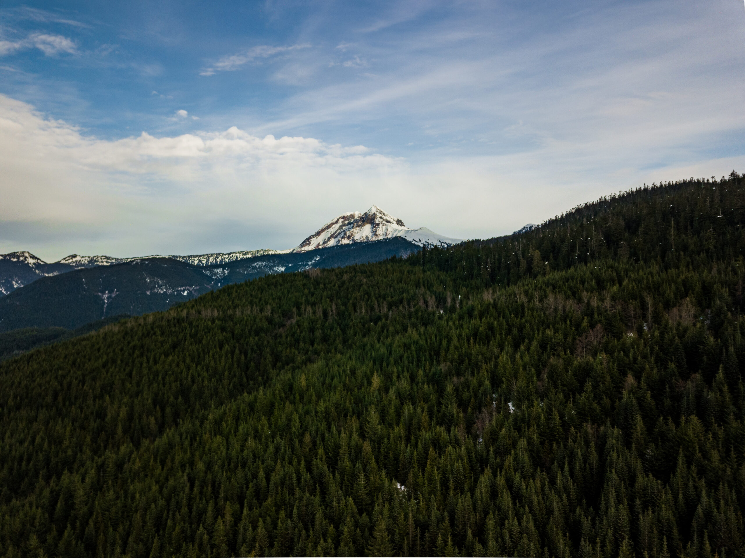 Squamish Nation elects 15 councillors  and new chairperson: Record-setting voter turnout in general election