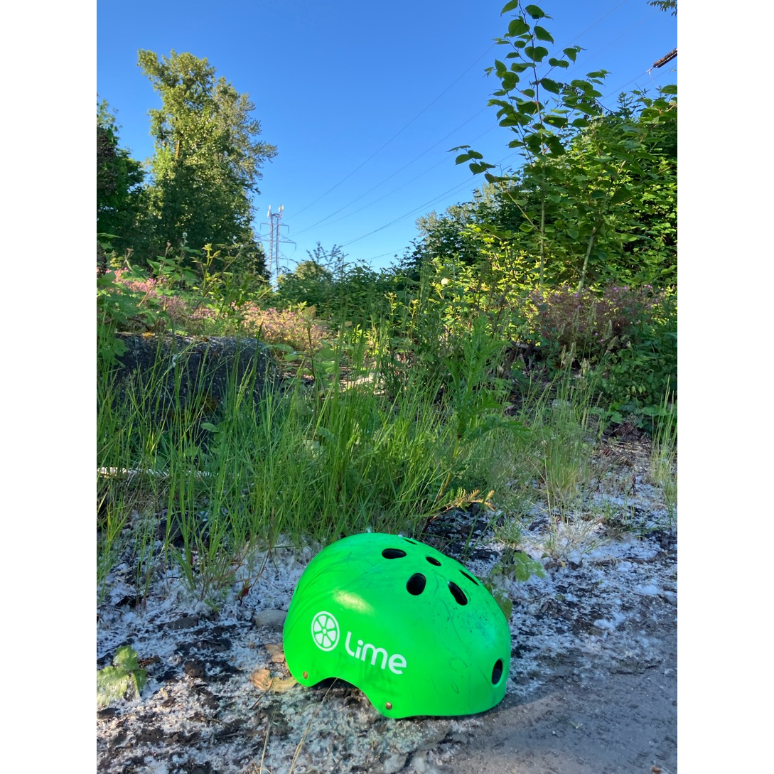 Lime e-Bikes Leaving North Shore