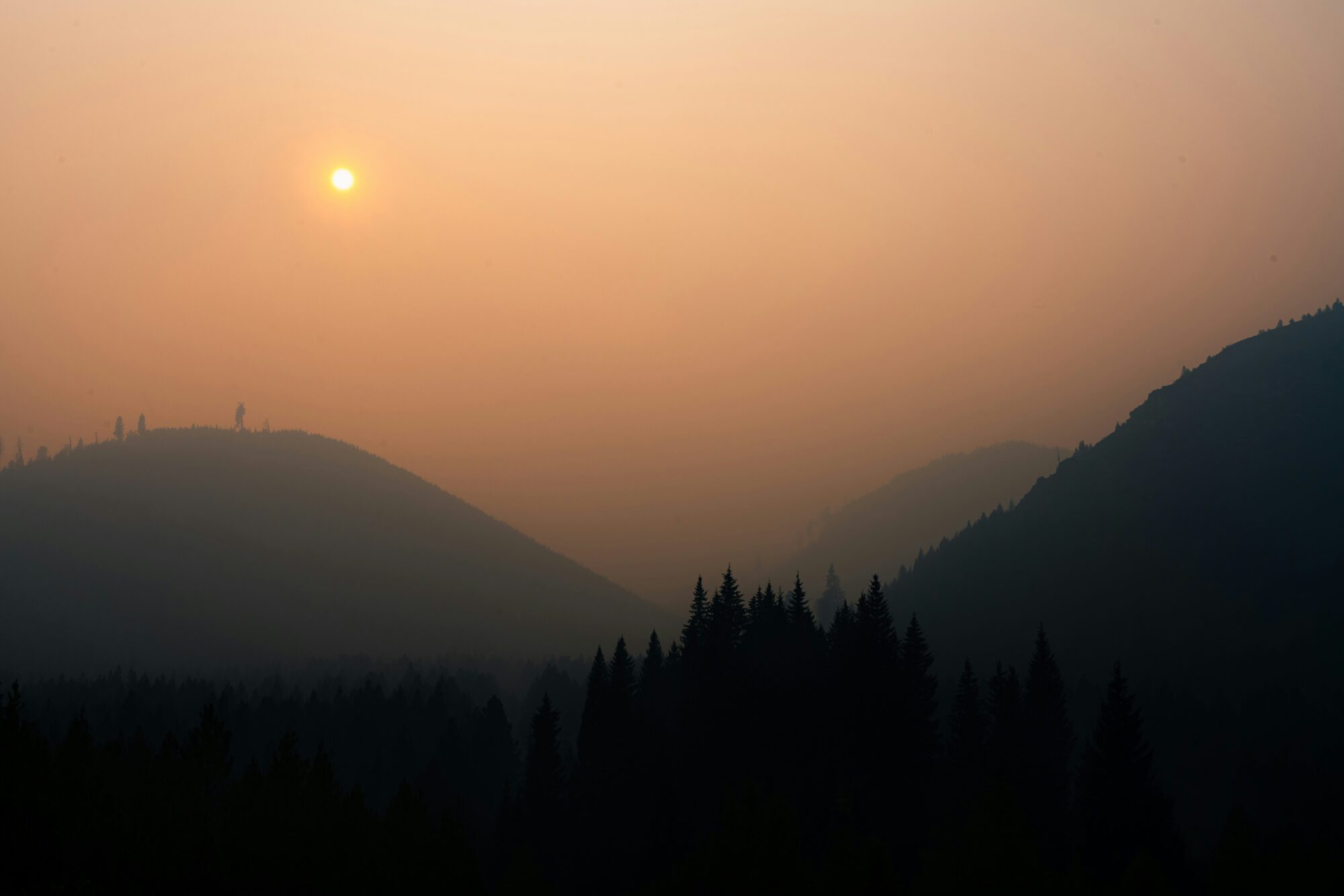 An air quality warning remains in effect today for certain areas of Sḵwx̱wú7mesh Úxwumixw Territory.